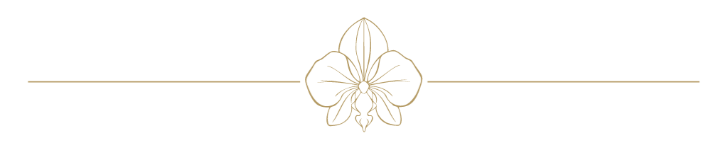 Ivana Zabala Photography Orlando Florida Visual Identity