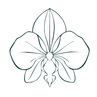 IZP_Simbolo_Orquidea-Simplificada_DeepTeal